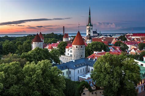 Download Church Tree Building Estonia City Man Made Tallinn Hd Wallpaper
