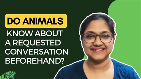 Do Animals Know About A Requested Conversation Beforehand Youtube