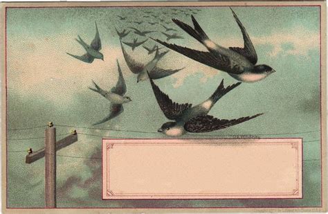 29 Best Swallow Vintage Images Clip Art Vintage Art Altered Art