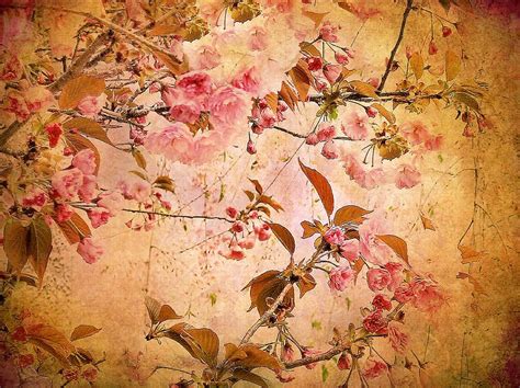 Cherry Blossom Tapestry By Jessica Jenney Cherry Blossom Art Cherry