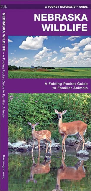 Wildlife And Nature Identification Nebraska Wildlife A Folding