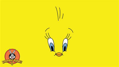 2845x1600 Tweety Looney Tunes Cartoon Wallpaper Tweety Background