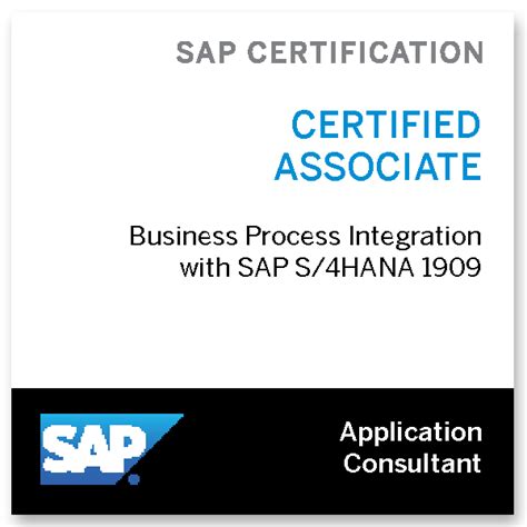 Sap Certified Application Associate Business Process Integration With