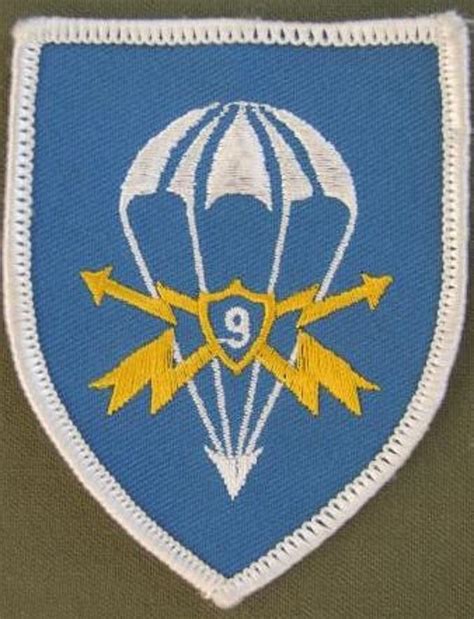 Vintage Germany 9th Airborne Signal Battalion Shoulder Patch