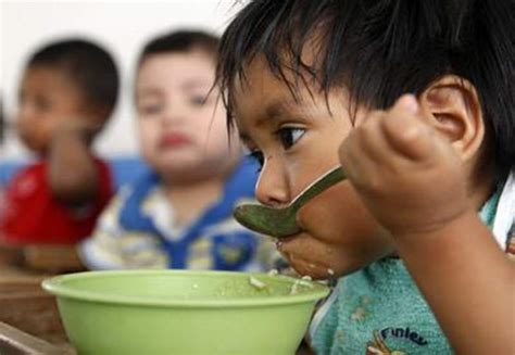 Los Daños De La Desnutrición Duran Toda La Vida Y Se Transmiten A Los