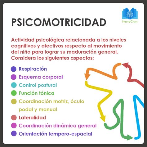 Psicomotricidad Desarrollo Cognitivo Y Movimiento En La Infancia