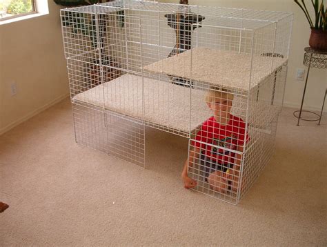 Indoor Cages Rabbits Indoors