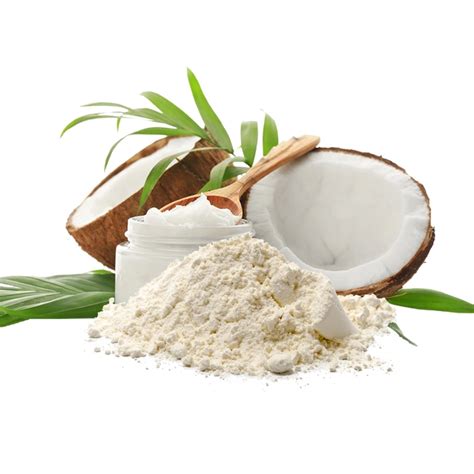 Organic Coconut Milk Powder Nixon Bulk