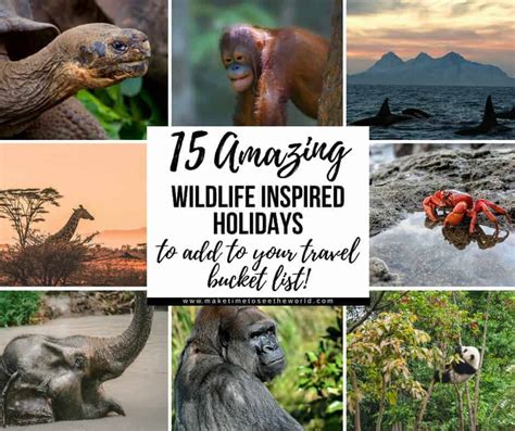 15 Incredible Wildlife Holidays And Experiences For Your Travel Bucket List