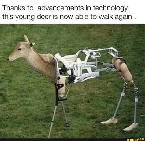 Like It Now Thanks To Advancements In Technology This Young Deer Is