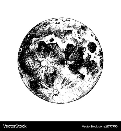 Moon Vector Drawing