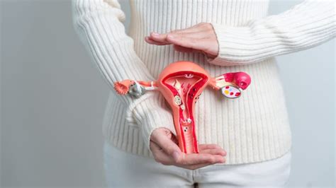 Adenomioza Uterina O Boala Inrudita Cu Endometrioza Cauze Simptome Tratament