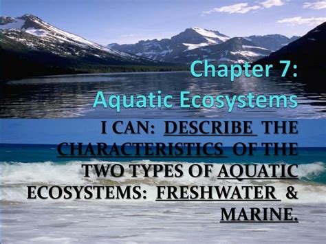 Chapter 7 Aquatic Ecosystems Aquatic Ecosystem Ecosystems Aquatic