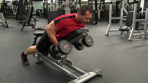 Seated Bent Over Dumbbell Row Vlrengbr