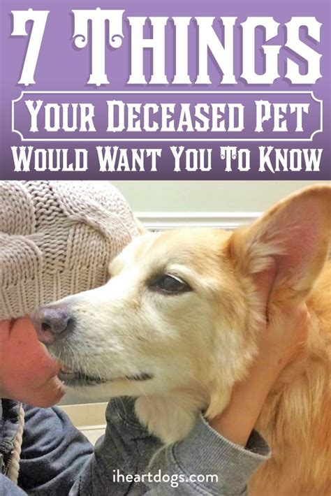 6 Things Your Deceased Pet Wants You To Know 9 Things Your Deceased