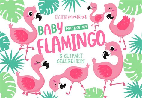 Baby Flamingo Clipart Tropical Clipart Luau Clipart Summer Etsy