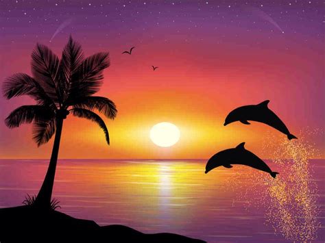 Beautiful Sunset Painting Silhouette Painting Dolphin