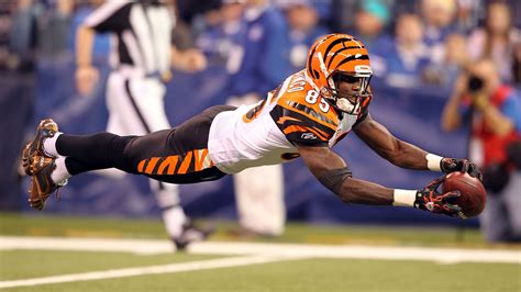 Chad Johnson Continues Defense Of Andy Dalton Cincy Jungle