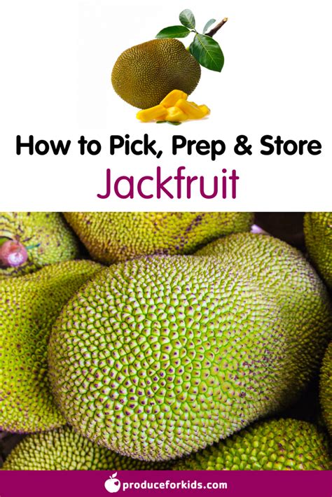 How To Pick Prep And Store Jackfruit Nutrition Information Recipes