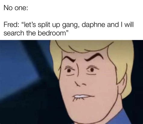 No One Fred Lets Split Up Gang Daphne And I Wi Memegine