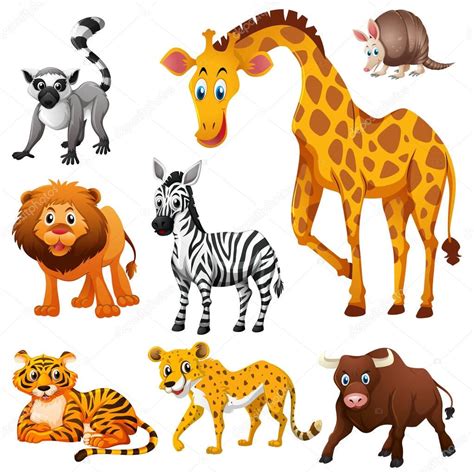 Different Kinds Of Wild Animals — Stock Vector © Brgfx 156948318