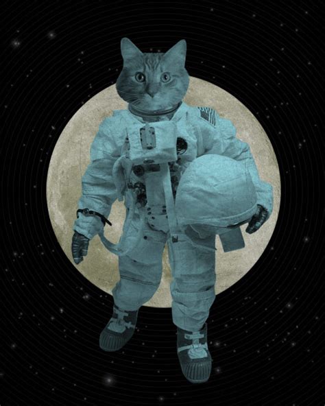 Astronaut Cat 8x10 Print On Storenvy