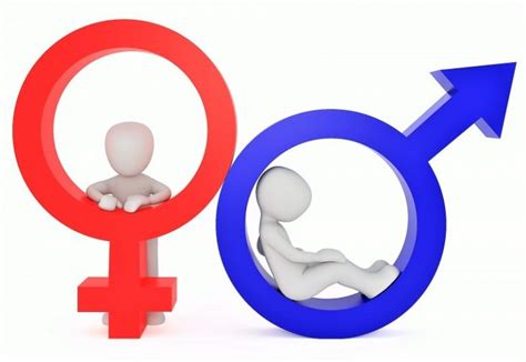 Gender Roles What Are Which Are Types Characteristics Origin Examples