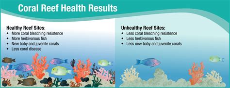 Relax Dont Stress Health And Potential Of West Hawaiʻi Coral Reefs
