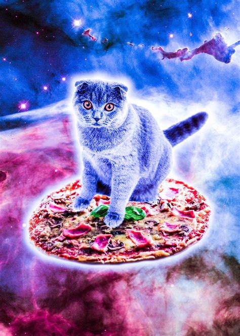 Cat Riding Pizza In Space Poster By Random Galaxy Displate