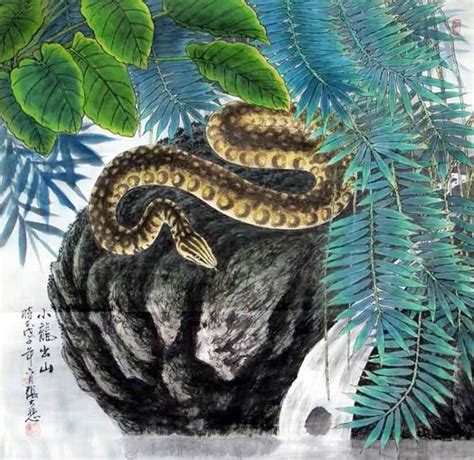 Chinese Snake Painting 0 4721027 69cm X 69cm27〃 X 27〃