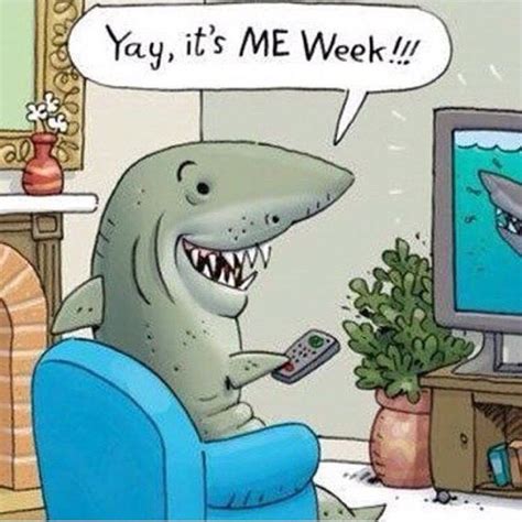 Shark Week Funny Cartoons Jokes Sharks Funny Funny Cartoons