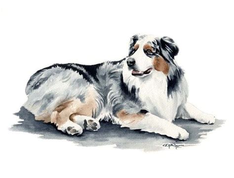 Australian Shepherd Dog Art Print Signed By Artist By K9artgallery