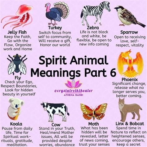 Psychic Animals Meaning Spirit Animal Meaning Animal Spirit Guides