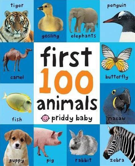 First 100 Animals By Roger Priddy English Board Books Book Free
