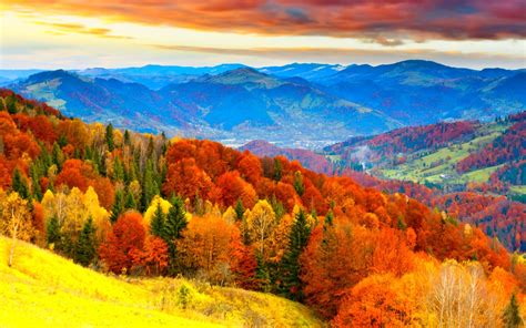 Autumn Fall Season Nature Landscape Leaf Leaves Color Seasons Tree