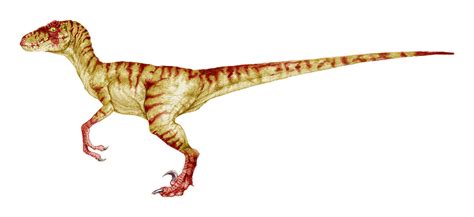 Velociraptor Jurassic Park Novel By Veliciraptus On Deviantart