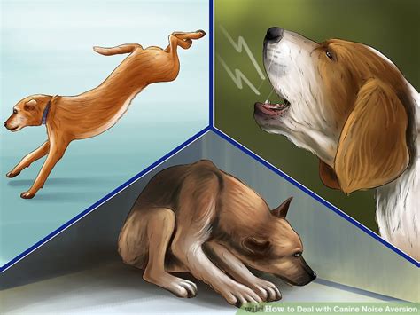 3 Ways To Deal With Canine Noise Aversion Wikihow Pet