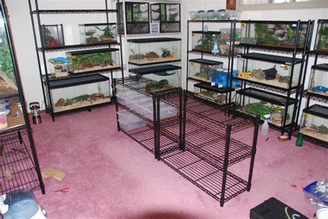 Reptile Room Still In Progress Ssnakess Reptile Forum Reptile