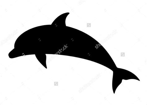 8 Dolphin Silhouettes Dolphin Silhouette Silhouette Vector Silhouette