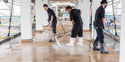 The Advantages Of Hiring A Commercial Pressure Cleaning Service