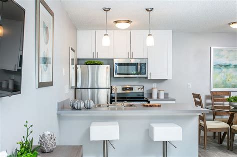 Nestled in the northern part of tampa new tampa is a growing community filled with suburban amenities and lush green spaces. The Cove Apartments Apartments - Tampa, FL | Apartments.com