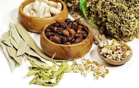 Austrian Students To Learn Traditional Medicine In Iran