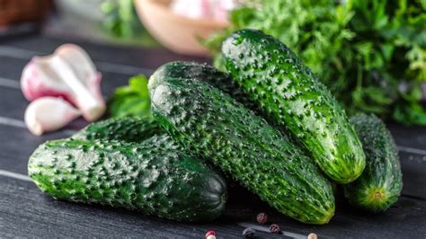 If Your Cucumbers Are Bitter Try Milking Them