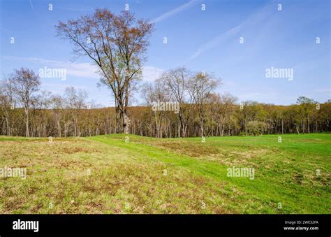 The Town Of Pithole A Ghost Town In Cornplanter Township Venango