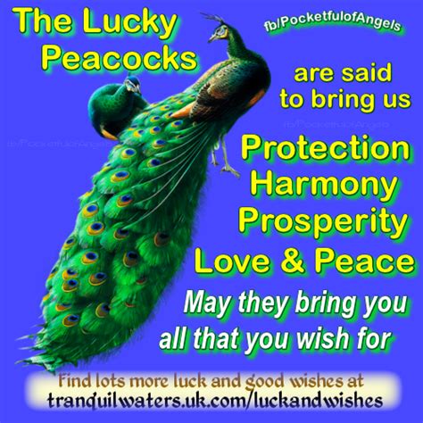 And thats how the peacock saved the chameleon — ally carter —. The wishing tree - lucky peacock - Million Wishes - Image quotes - Sayings - Good luck - wishes