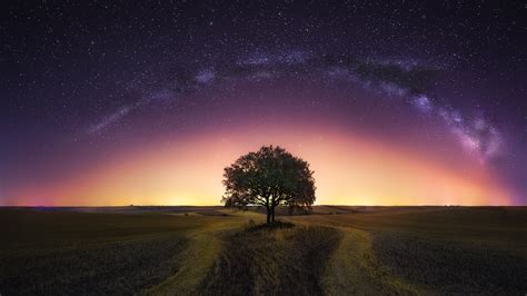 2560x1440 Milky Way Tree Field 1440p Resolution Wallpaper Hd Nature 4k