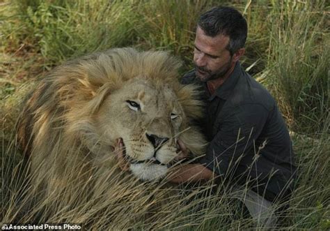South Africas Lion Whisperer Gets Up Close With Big Cats Daily Mail