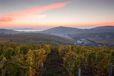 Visiting French Vineyards These Are 10 Of The Best Wine Regions In