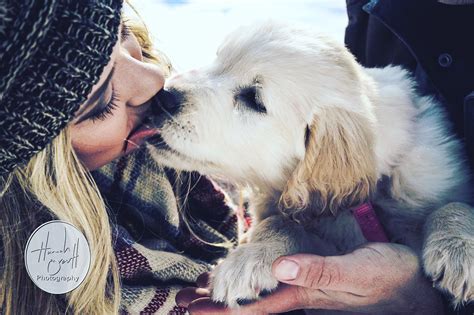 Pin By Emily Wilkin On Fall Couple Photos With Dogs Fall Couple