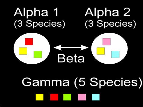 Alpha Beta Gamma Aug 17 2020